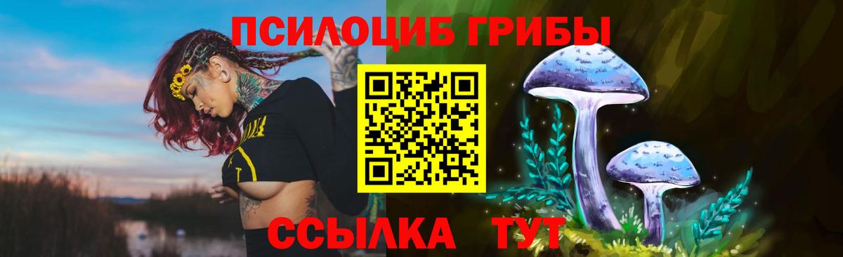 Галлюциногенные грибы ЛСД  Вход с VPN  дарнет шоп  Татарск 